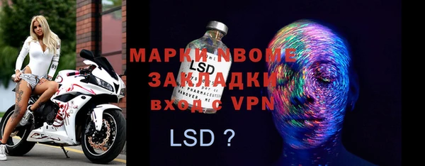 стаф Каменка