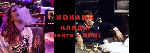 сатива Карталы