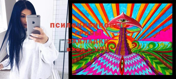 jwh Каменногорск