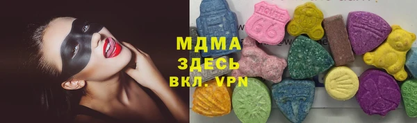 стаф Каменка