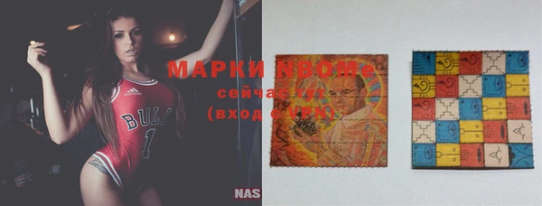 стаф Каменка