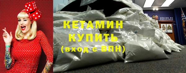 стаф Каменка