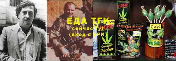стаф Каменка
