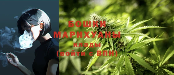 jwh Каменногорск