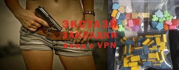 мдпв Карпинск