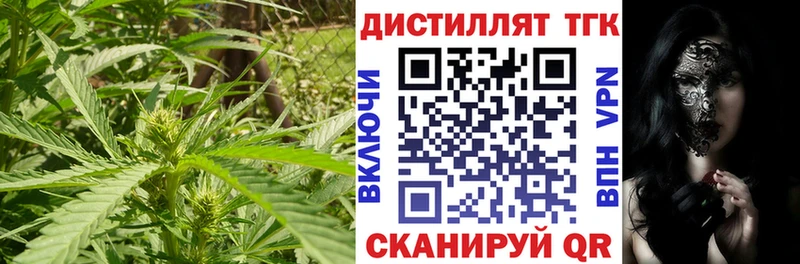 Купить где  Будённовск  ТГК вейп 