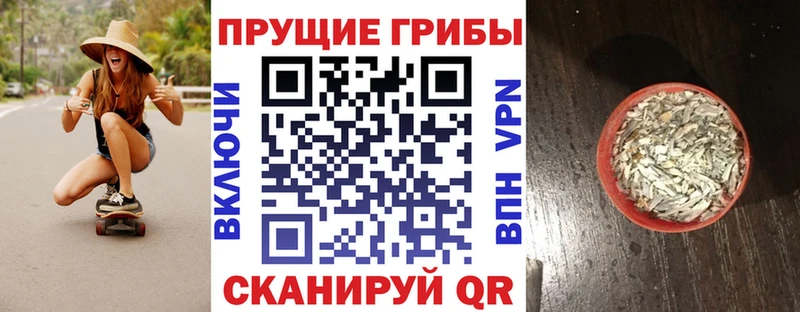 Купить где  Будённовск  Галлюциногенные грибы Psilocybe 